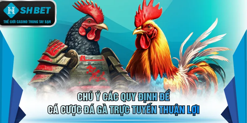 Chú ý các quy định để cá cược đá gà trực tuyến thuận lợi