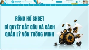 Rồng Hổ SHBET – Bí Quyết Bắt Cầu Và Cách Quản Lý Vốn Thông Minh